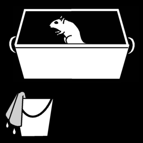nettoyer la cage du gerbil